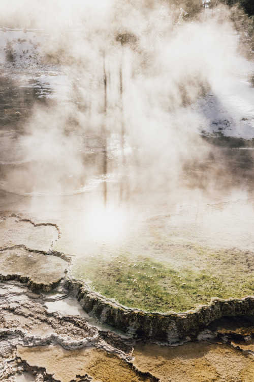 arthurchang:  Steamy Winter Scenes Mammoth Springs, Yellowstone National Park // Sony RX1r Yellowstone is pretty locked down from normal car travel during the winter time. Nevertheless, there is still endless amounts of things to see and experience. I