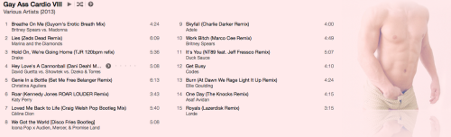 boibleu86:  kruel-kid:  pussyriot:  Gay Ass Cardio  I II III IV V VI VII VIII IX   I HAVE FOUND MY WORKOUT PLAYLIST FOR 2014   Must rember these