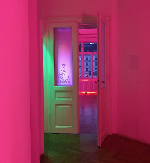 sleazeburger:Inside my installation, Virtual Normality, currently up in Vienna at Galerie Nathalie H