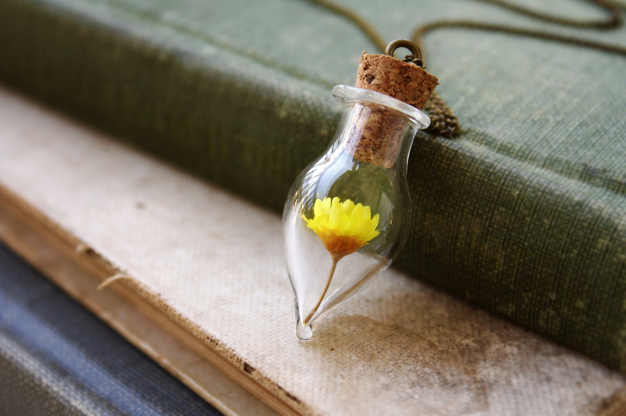 wickedclothes:  Daisy In A Bottle Necklace Inside of this glass vial is a tiny daisy.