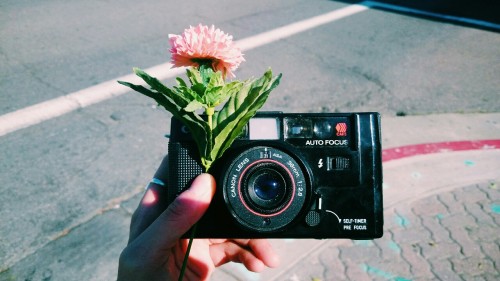 AUTOBOY//San Francisco//2015//Nikon FM10Received this Canon AF35M free with purchase at a small used