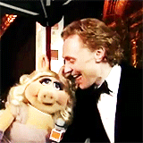 tyrionlannistre-deactivated2015:  Tom Hiddleston + the unquenchable thirst 