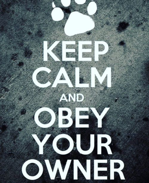 nibblesthepup: Keep calm and obey your owner
