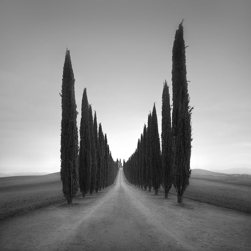 nevver:Spires, Dermot Russell