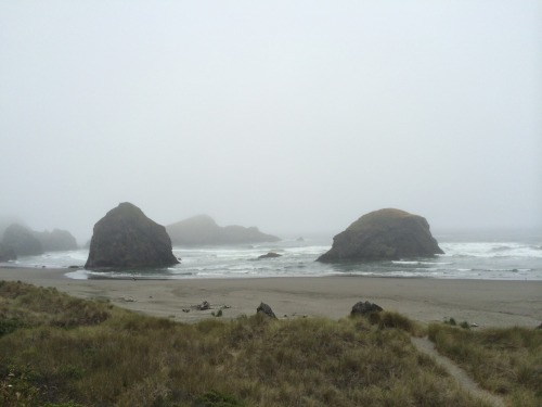 thirtymiles-west:foggy oregon coast