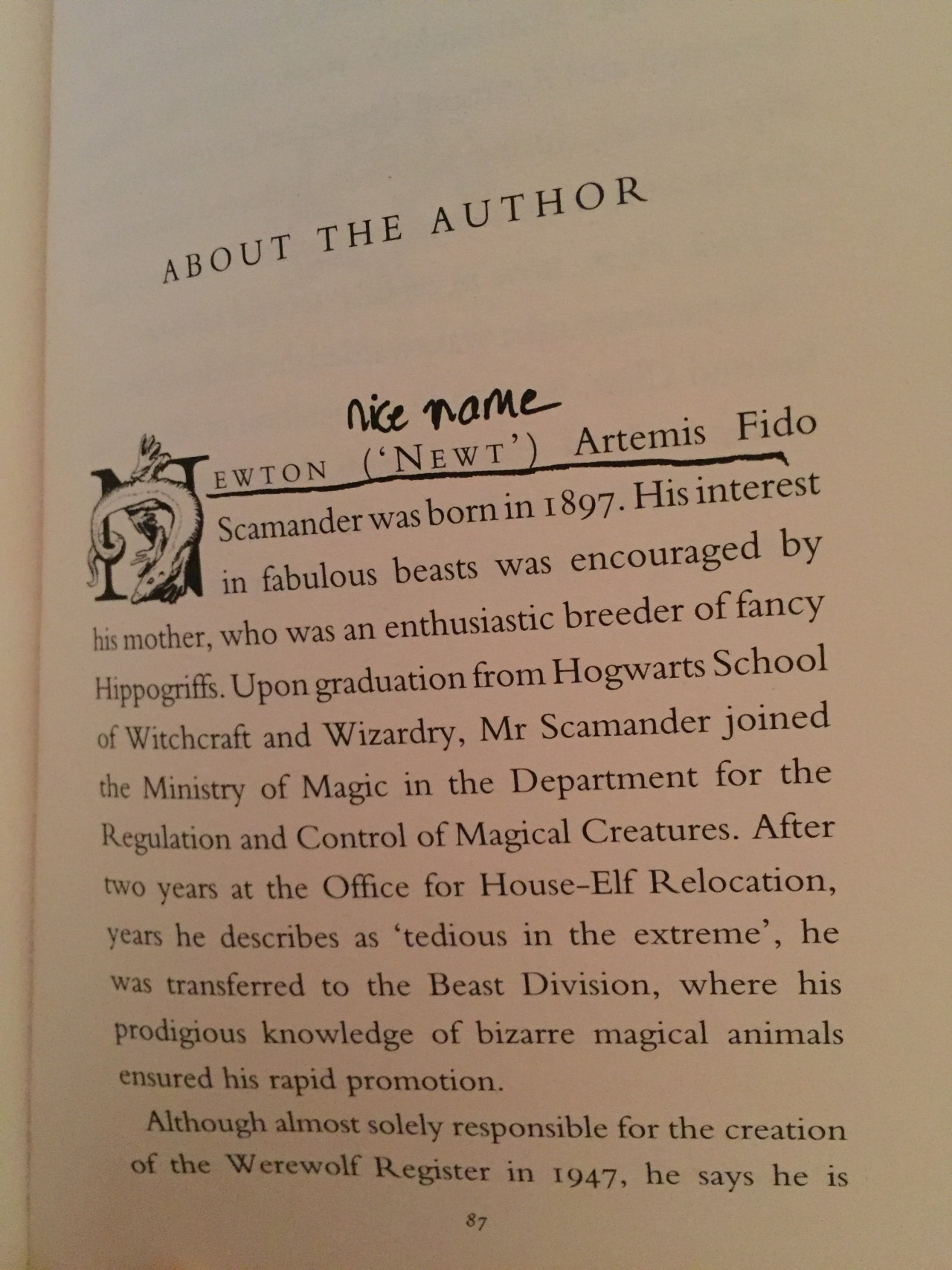 sherlatetothemoriparty:  Me before Fantastic Beasts movie: I like how Ron and Harry