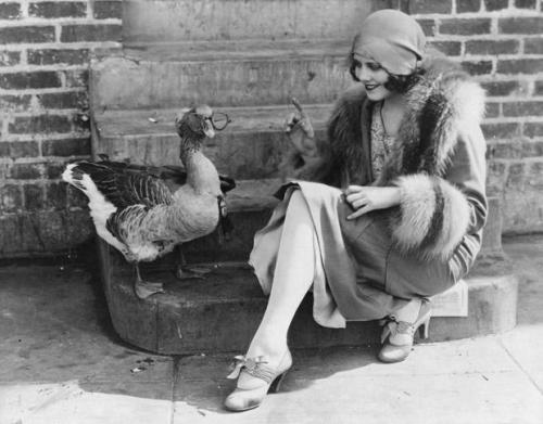 weirdvintage: Film actress Fay Webb with her pet goose, which is wearing an attractive pair of glass