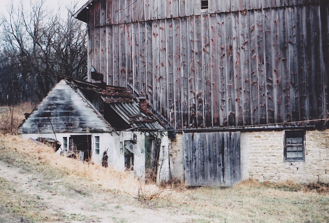 graceandgirlhood:Snowless winter by  Sarah Rose Girkin  