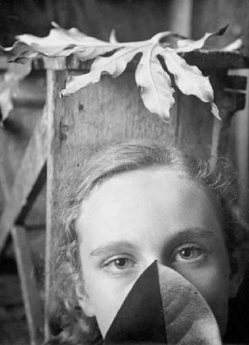 Paolo Monti, Gli occhi, 1951