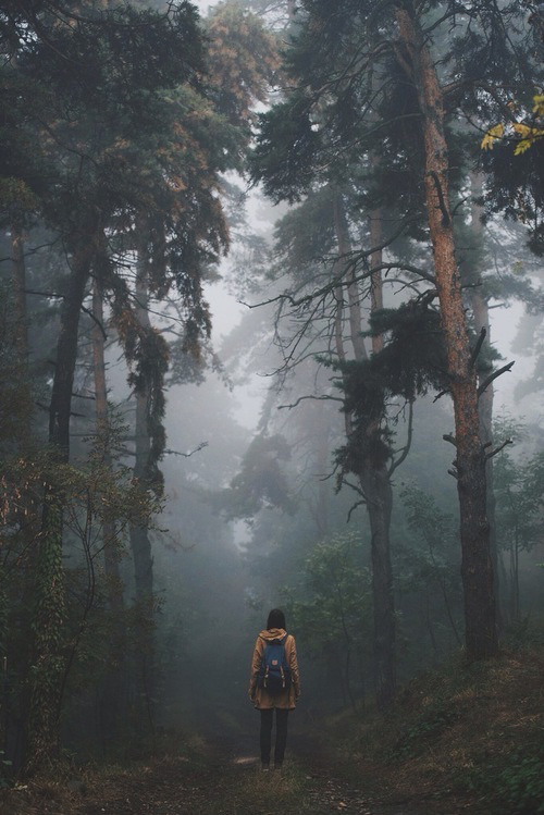 fresh-mind-fresh-day:  You have to go on and be crazy. Craziness is like heaven. -