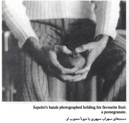 farsizaban:Sohrab Sepehri (October 7, 1928 – April 21, 1980) was a notable Iranian poet and a painte