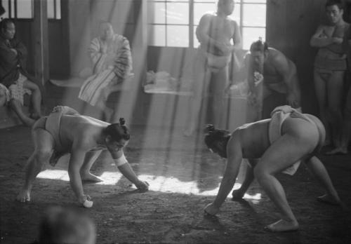 sumobasho: 1951