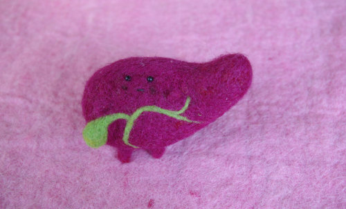 honeythistledesigns:  sosuperawesome:     Needle felting by FaitMainProduction on Etsy  • So Super Awesome is also on Facebook, Twitter and Pinterest •   These are beyond adorable O.OSeriously coveting that pair of kidneys… and that uterus!  