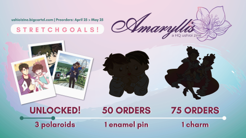  We did it! We’ve reached our first stretch goal!  These adorable polaroids will now be added 