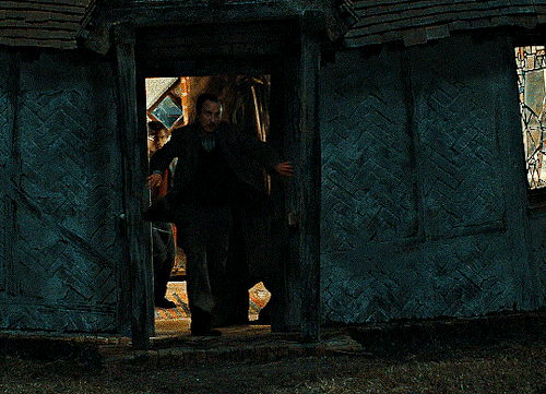 HARRY POTTER AND THE DEATHLY HALLOWS: PART 1 (2010)