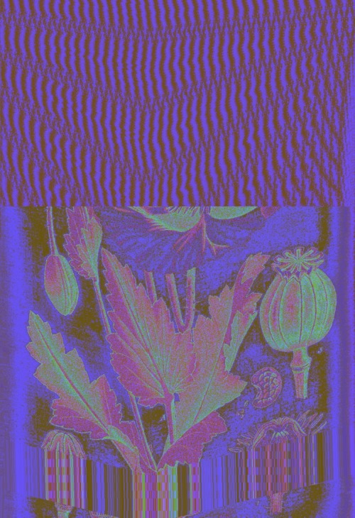 modempunk:glitchywitchy:poppy“ This is just to get her settled down, get all systems running s