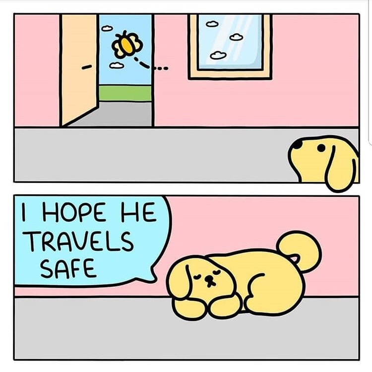 froggiej: broadwaytheanimatedseries:  sweetycheeks:  this made me so happy  reblog to make someone smile credits to @shreyadoodles    fuck this wholesomeness I was waiting for a dumb or sarcastic punchline   I was waiting for it to get stuck at the window