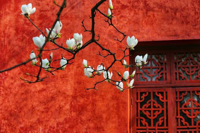 fuckyeahchinesegarden:chinese architecture