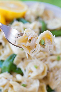 do-not-touch-my-food:  Lemon Dill Tortellini  Annnnnd now I&rsquo;m hungry