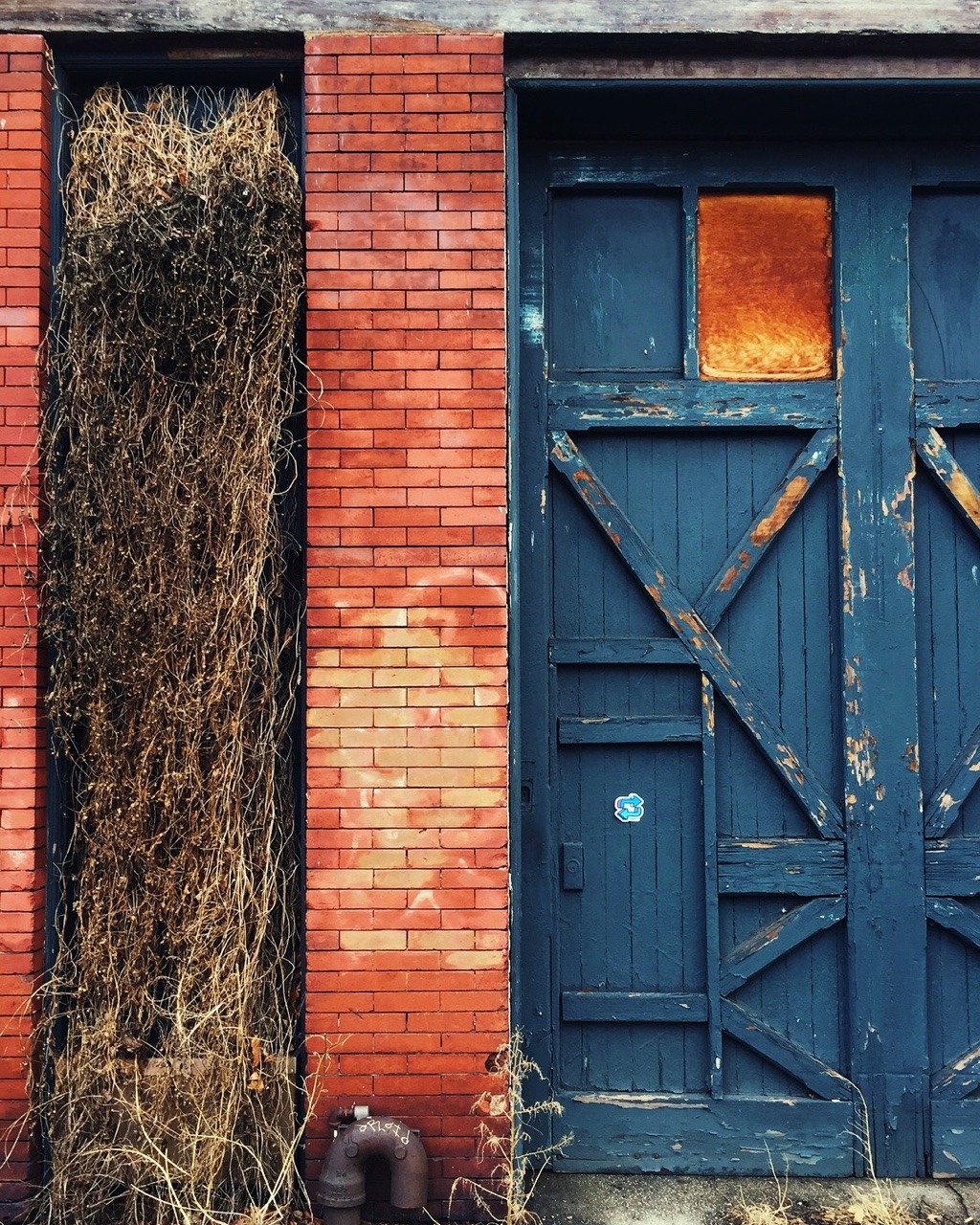 katiethompson:Winter in Clinton Hill