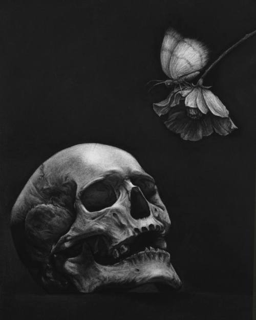 Skull - Moth - Flower - by Liu Ling©