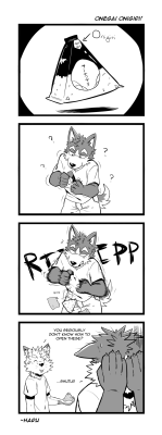 furrytrio:  When I was in japan, I seriously didn’t know how to open these convient store onigiri… I always ripped the nori by accident. ~Haru 