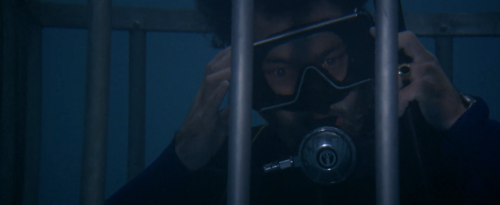 Jaws, 1975ThrillerDirected by Steven SpielbergDirector of Photography: Bill Butler