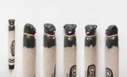 hqtran:  Black pug carved crayon. There are more crayons on my Tumblr and check out my shop. 