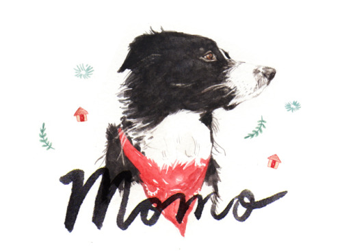 Momo, from Find Momo.