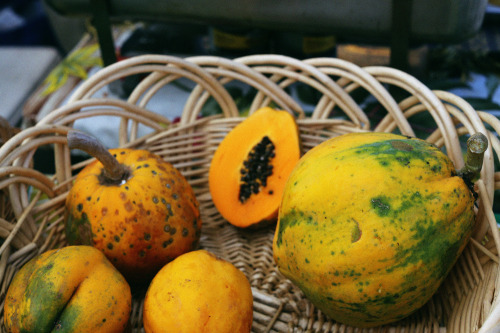 Papayas at the Farmer’s Market. 