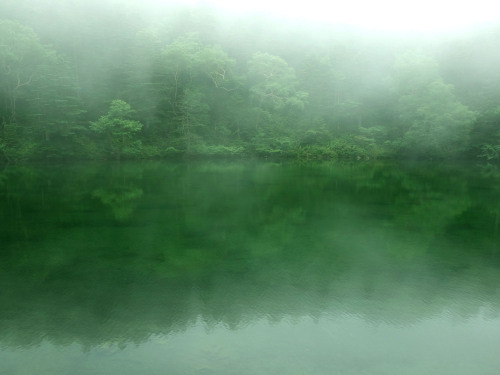弥陀ヶ池　　日光白根山Mida-ga-ike Pond, Mt. Shirane-san of Nikko.