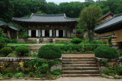 lovesouthkorea:  Songgwangsa temple 1|2 by Edvenchers &ldquo;Songgwang-sa is located, snugly like a nest, in the lower edge of Mt. Jogye, Songgwang-Myeon Sooncheon Jeollanam-Do. The name of Songgwang has several legends. First, it means a temple in