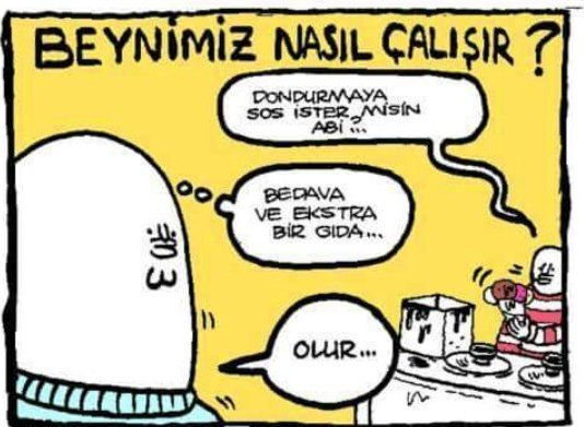 BEYNİMİZ NASIL ÇALIŞIR? -...