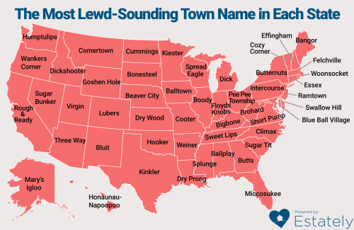 thechadslayer: laughingsquid:A Map Highlighting the Lewdest Sounding Town Name in Each State in the 