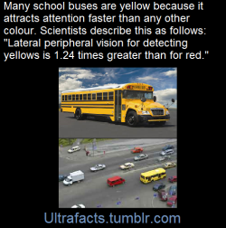 ultrafacts:Yellow (and the yellow family of colors) gets your attention faster than any other color. Even when you are looking straight ahead, you can see a yellow object that is not in front of you “in the corners of your eyes” much sooner than
