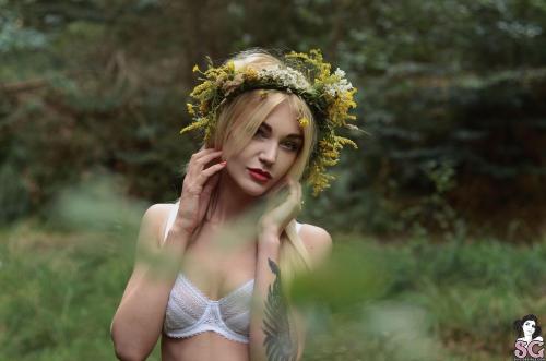 ♥ LAF SUICIDE