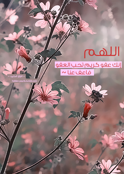 hidden-pearls:  اللهم إنك عفو كريم تحب العفو فاعف عنا