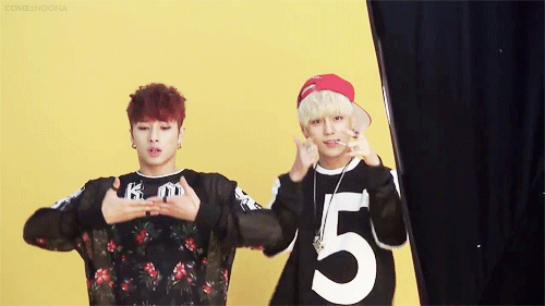 COUGAR NOONA