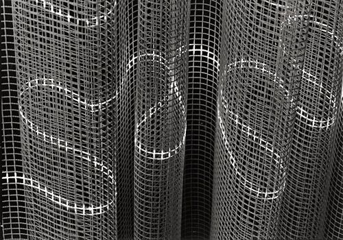 dnlhdt:  TONI SCHNEIDERS
