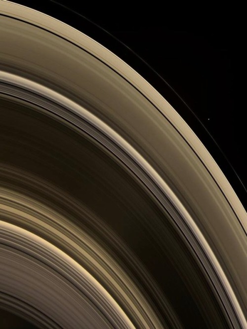 astronomicalwonders: Saturn’s Moons and Rings &ldquo;From on high, the Cassini spacecraft 