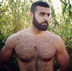 lovehairybushgdl:  Perfecto