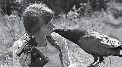 omnicord:    Simona Kossak (1943-2007) was a polish scientist, an ecologist, an author of films and books and an university professor. People called her “witch” because she was very close to wild animals, and it looked like she understand their language.