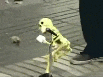 tamorapierce:  perpetualvelocity:  mollymullikin:  spoopycapaldii:  We’re up all night to get spoopy  we’re up all night to get spoopy  we’re up all night to get spoopy  we’re up all night to get spoopy   The last one FUCK ING KILLED ME  OH MY