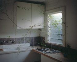 williambroadhurst:  The Kitchen of a beautiful old house about to be demolished tomorrow down the street.  Some ugly ass, sardine-can apartments will be constructed, and the kids who grow up in them will never have a sandpit or a garden to play in. 