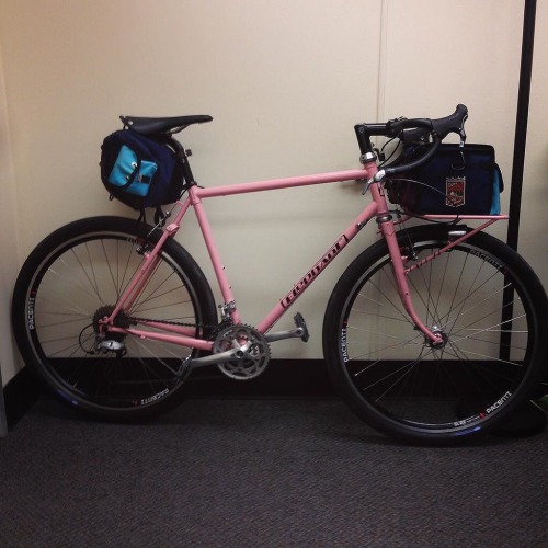 therubbishbin: World, meet Rosa the Pink Elephant. Rosa, meet world. #newbikeday #NFE