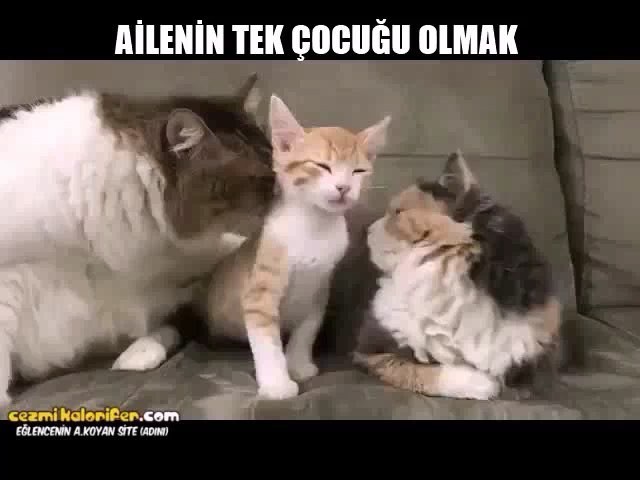 Ailenin tek çocuğu olmak