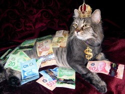 ohnopicturesofanothercat: rhube:  rhube:  I’ve found my favourite money cat. He’s Canadian and public domain, so if you reblog him you get swag for free and he will ask you for nothing and politely check up on you later to make sure the money arrived