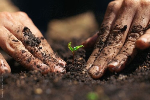 oldfarmhouse:The glory of gardening: hands in the dirt, head in the sun, heart with nature. To nurtu