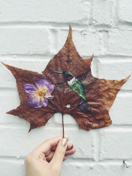 wordsnquotes:  culturenlifestyle: Artist Valeria Prieto Composes Beautiful Illustrations on Fallen Autumn Leaves Inspired by autumn’s fallen leaves, Iowa based artist Valeria Prieto has composed a collection of drawings on dry leaves. She confesses