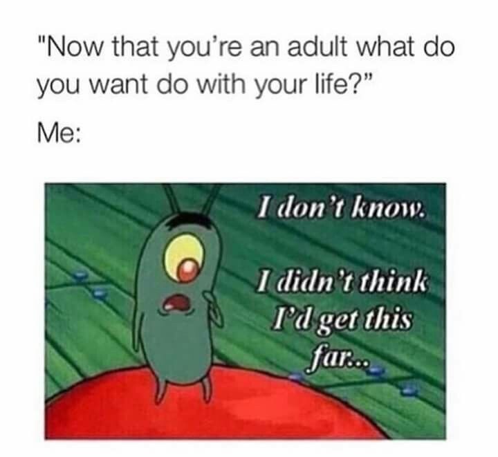 SPONGEBOB SQUAREPANTS! HAHA!" on Tumblr: Image tagged with me, definitely  me, adult